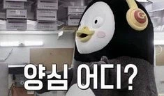 아편전쟁 당시 영국 특_1.webp