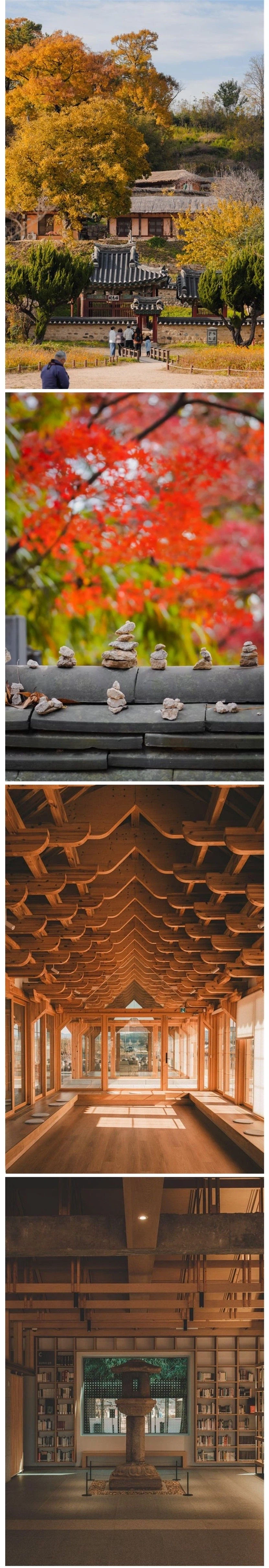 외국인들이 찍은 경주 여행 사진_3.webp