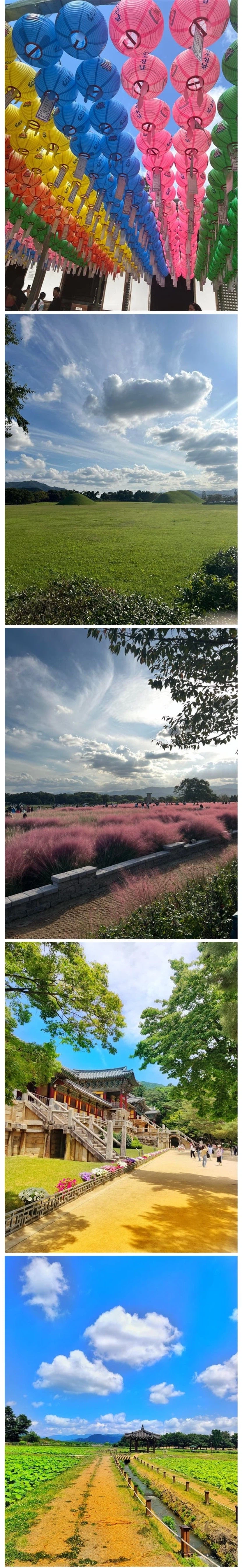 외국인들이 찍은 경주 여행 사진_4.webp