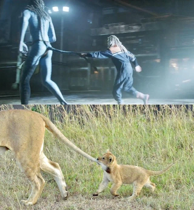 영화) [아바타] 별걸 다 자연에서 따온 카메론 감독...._1.webp