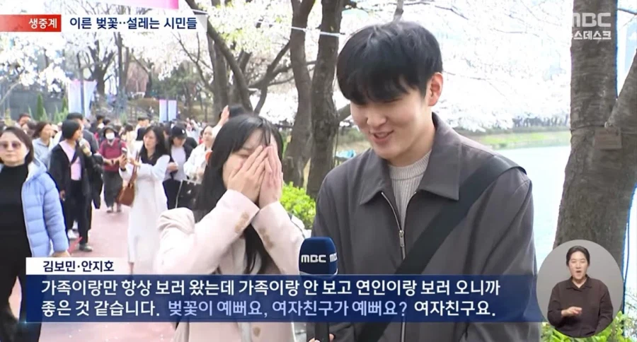 벚꽃 구경하러 온 커플 인터뷰.jpg_1.webp