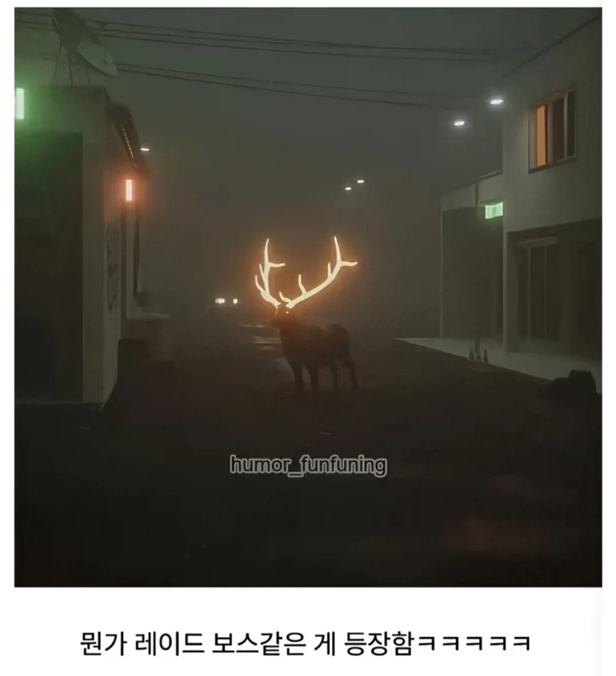 교통사고 방지를 위해 순록 뿔에 형광 바름_2.webp