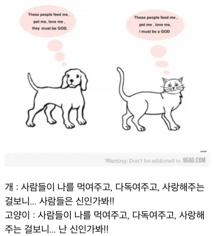 개와 고양이의 차이_1.webp