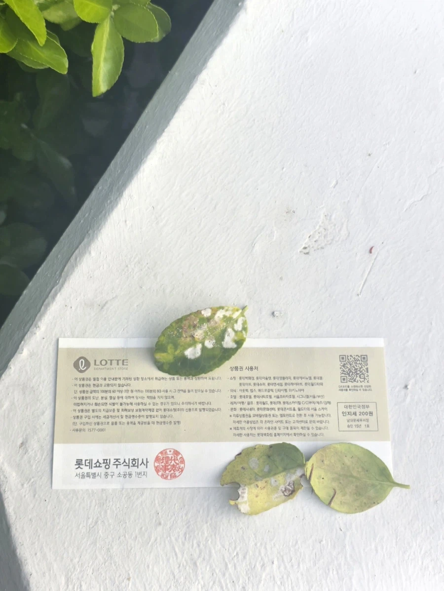 목욕탕에서 장애 청소년 가족한테 삥뜯음.jpg_6.webp