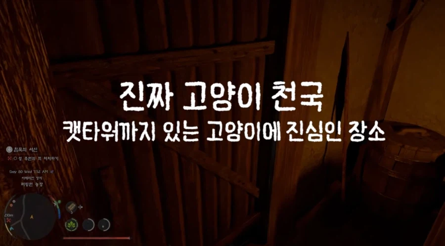 붉은사막)고양이들의 천국이라는 장소.jpg_1.webp