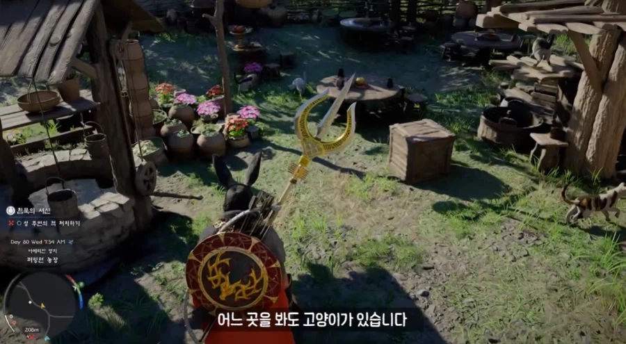 붉은사막)고양이들의 천국이라는 장소.jpg_3.webp