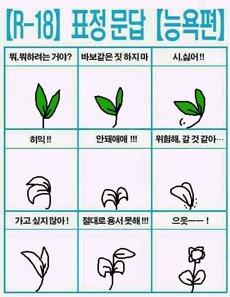 능욕 표정 문답_1.webp