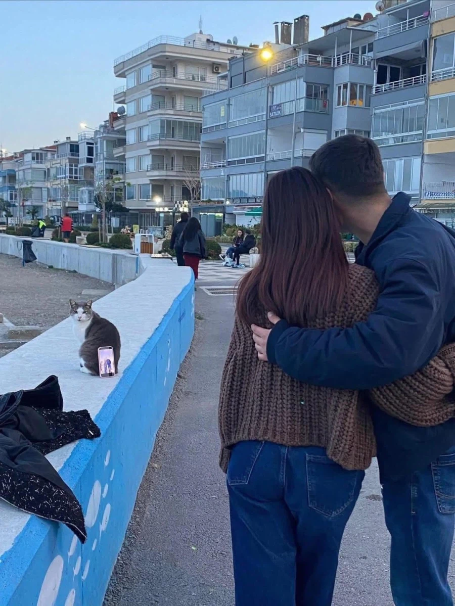 고양이 : ......................._1.webp