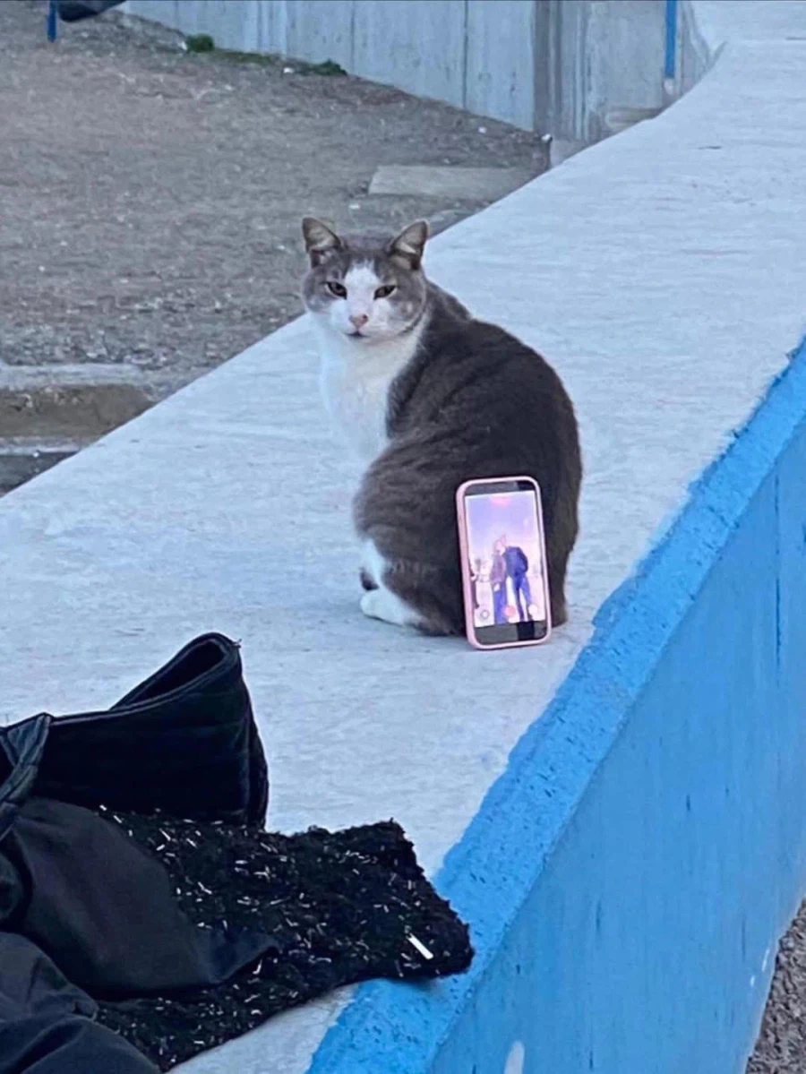 고양이 : ......................._2.webp