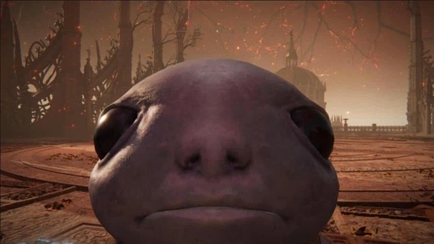 이런 외모로 게임 마스코트가 되기 쉽지 않음._1.webp