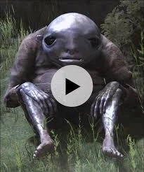 이런 외모로 게임 마스코트가 되기 쉽지 않음._6.webp