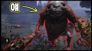 이런 외모로 게임 마스코트가 되기 쉽지 않음._7.webp