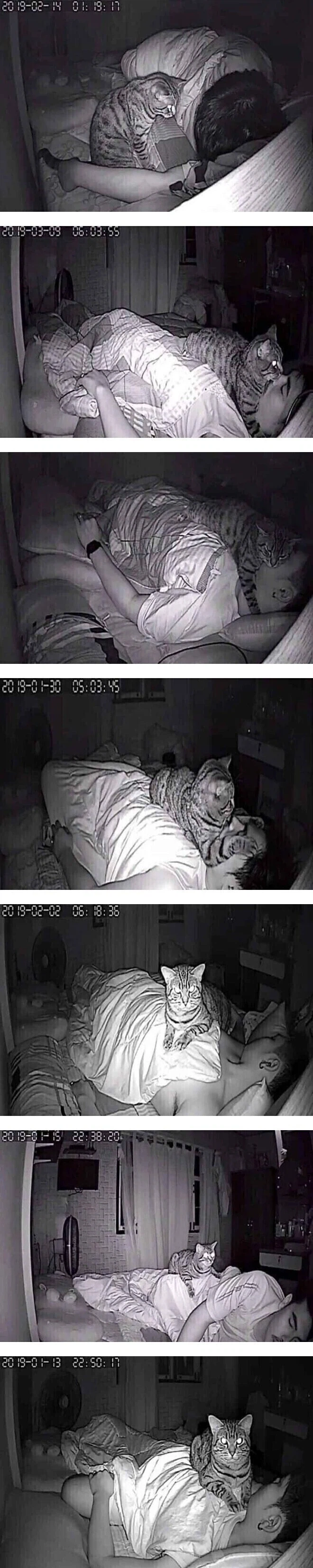 수면 무호흡증 때문에 CCTV를 설치했는데_1.webp