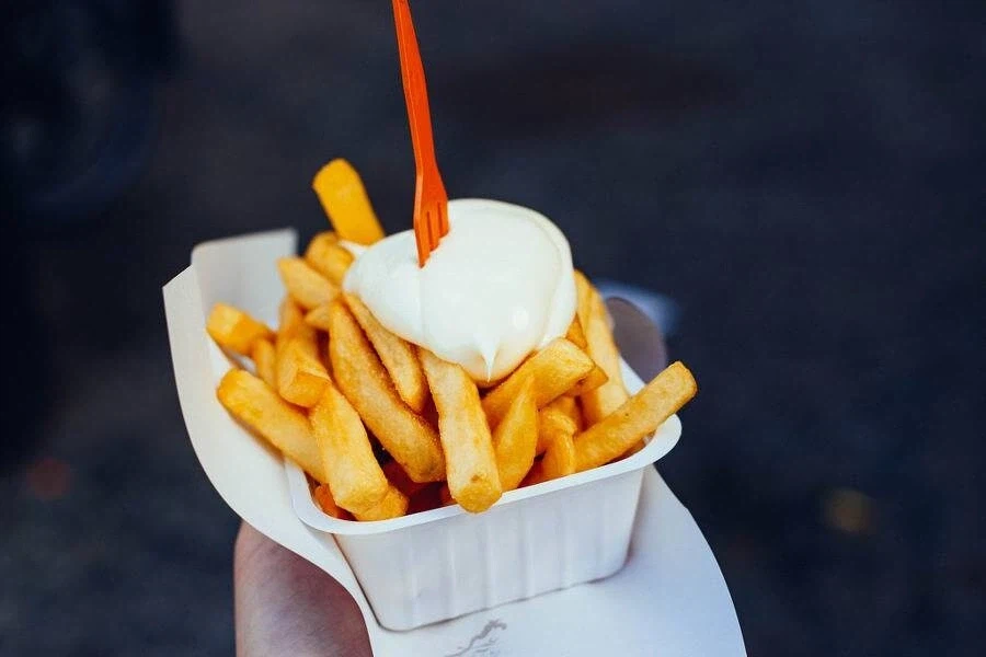 벨기에 감자튀김 특징.jpg_5.webp
