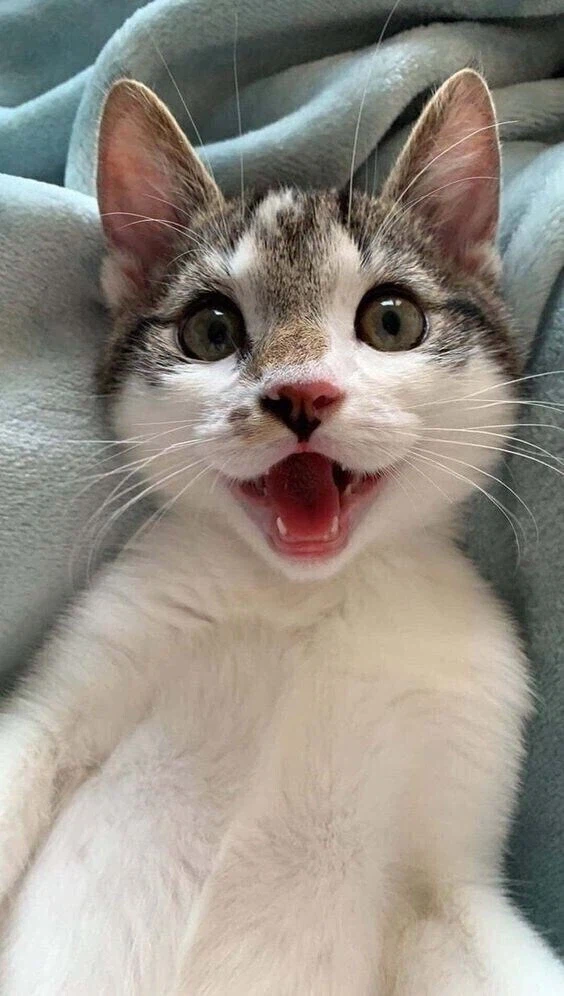 의외로 현실에서 가능한 표정_2.webp