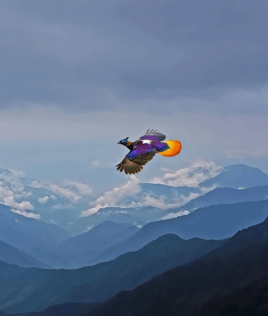 무지개처럼 빛나는 실제 존재하는 9색조_2.webp