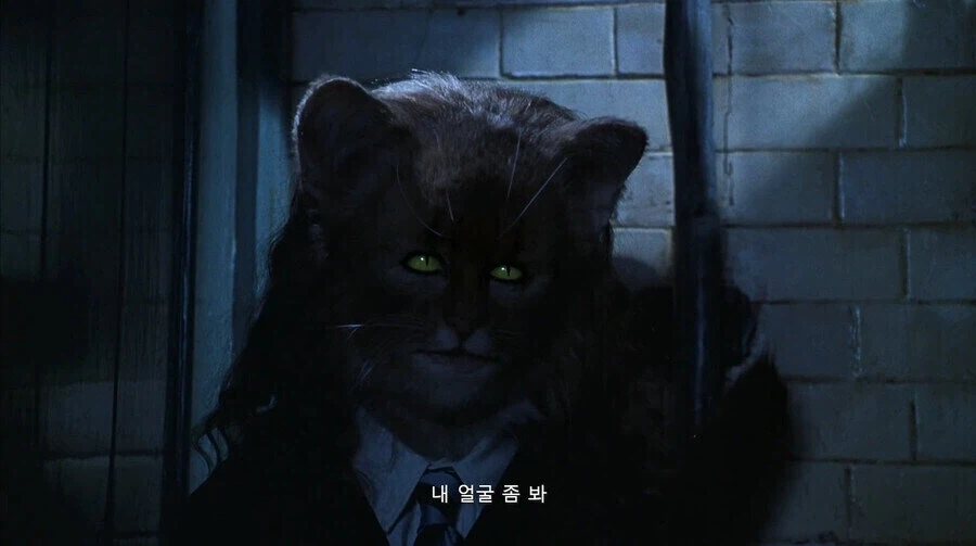 론이 헤르미온느에게 반한 순간.jpg_1.webp