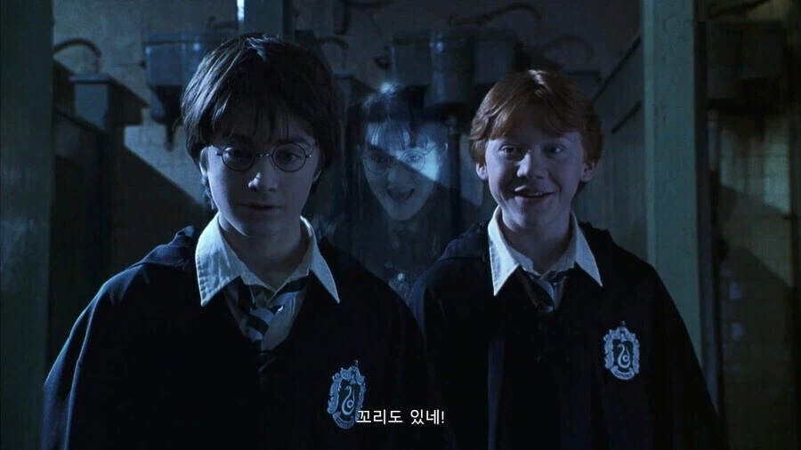 론이 헤르미온느에게 반한 순간.jpg_2.webp