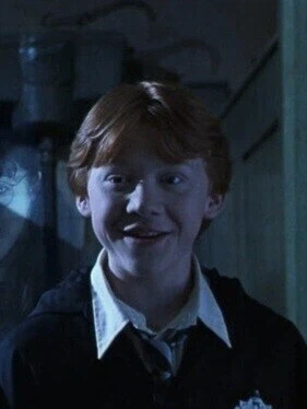 론이 헤르미온느에게 반한 순간.jpg_3.webp