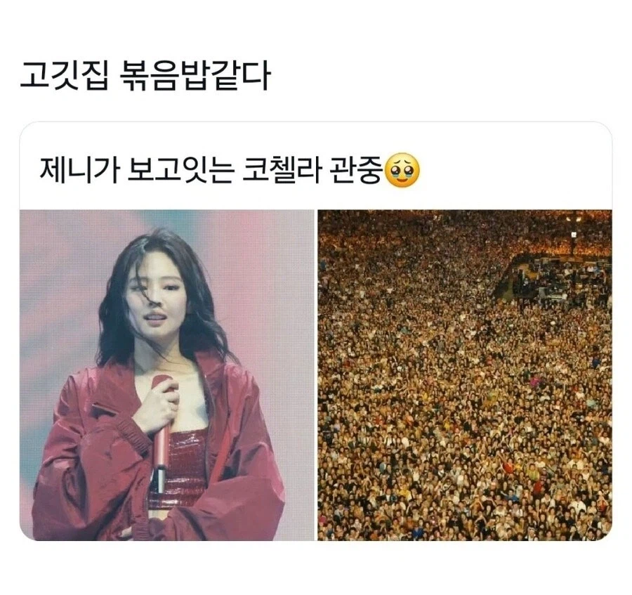 제니가 보는 공연 관중_1.webp
