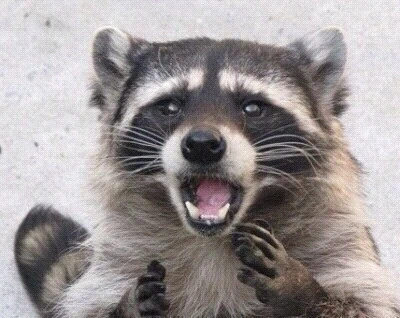 회식후에 여친이 산타 코스프레함_4.webp