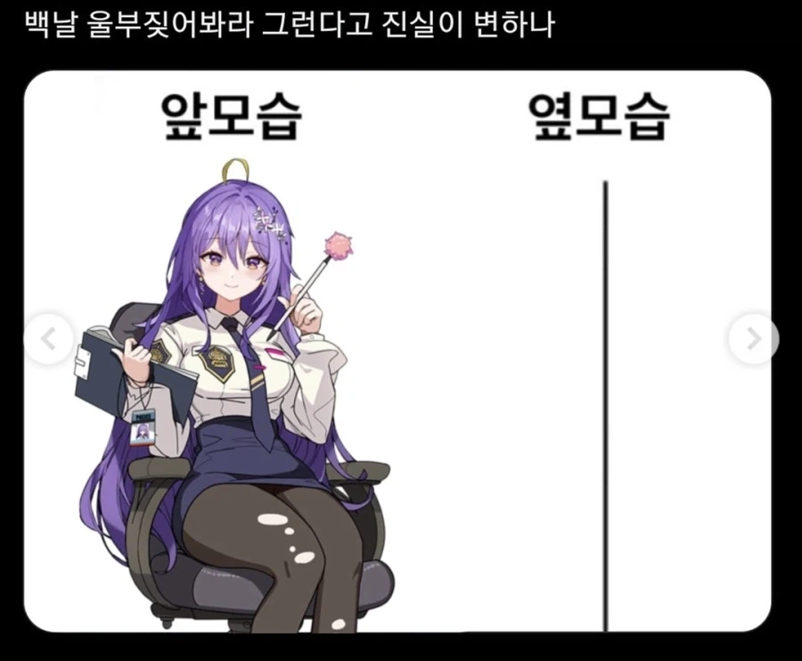 이정도면 슬렌더 맞음_1.webp