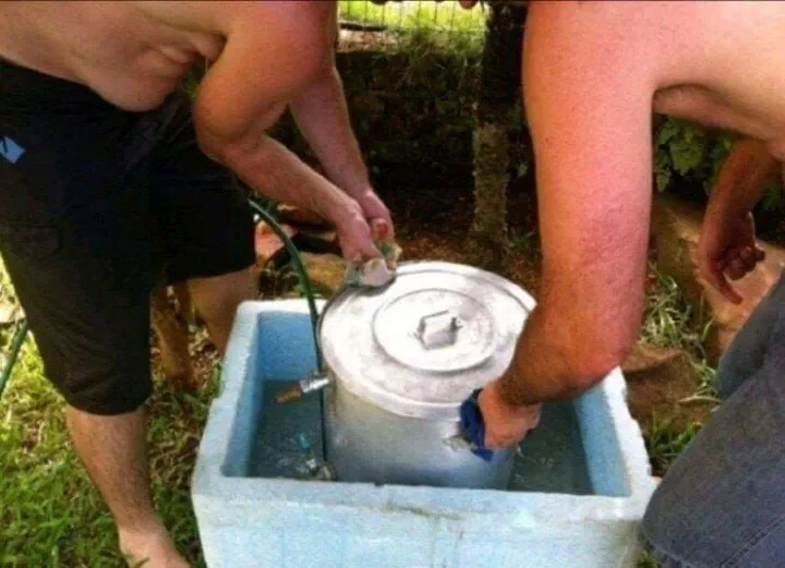 잘생긴 뱃살.jpg_1.webp