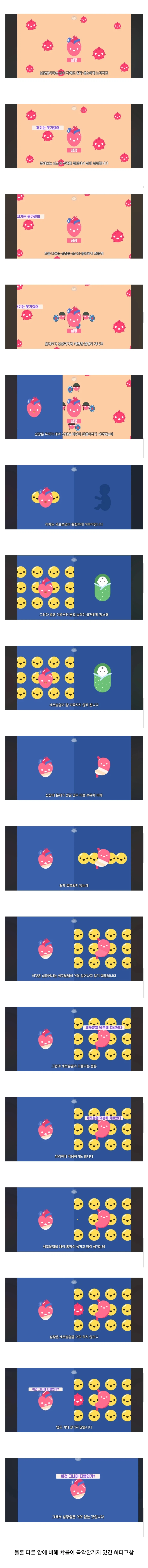 살면서 심장암이란 말을 들어볼 일이 없는이유_1.webp