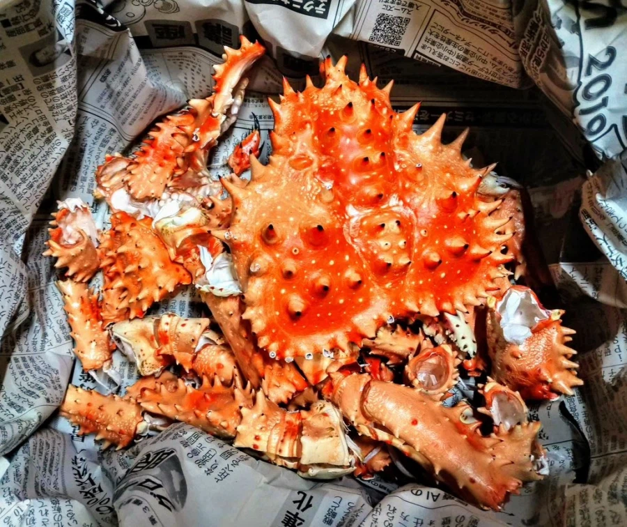 일본 모델러의 먹고 남은 게껍질 사용법_6.webp