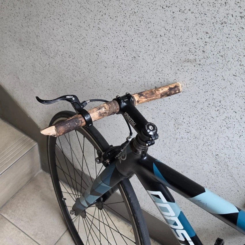 친환경 픽시 자전거_1.webp