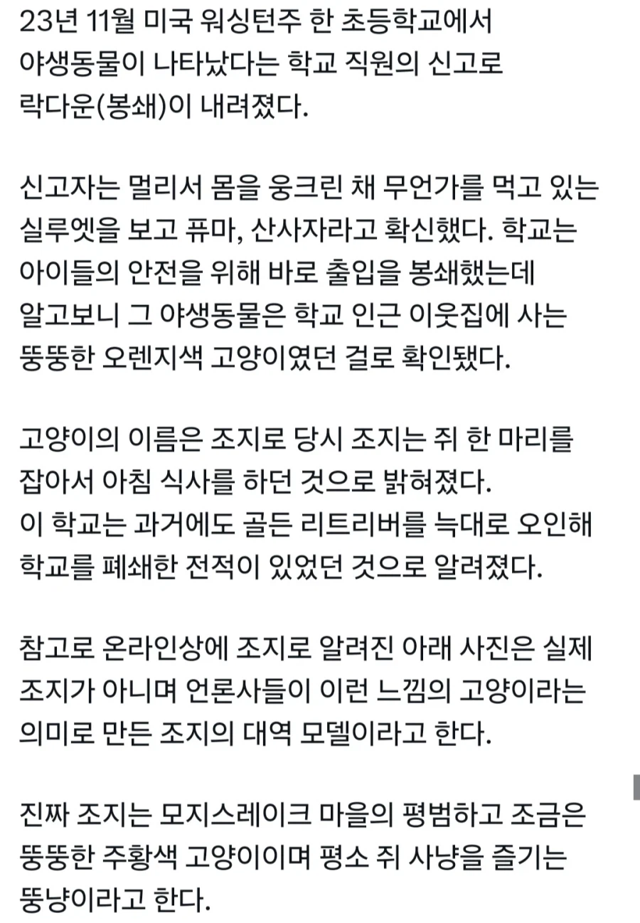 야생동물 구분 못하는 학교_1.webp