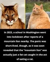 야생동물 구분 못하는 학교_4.webp