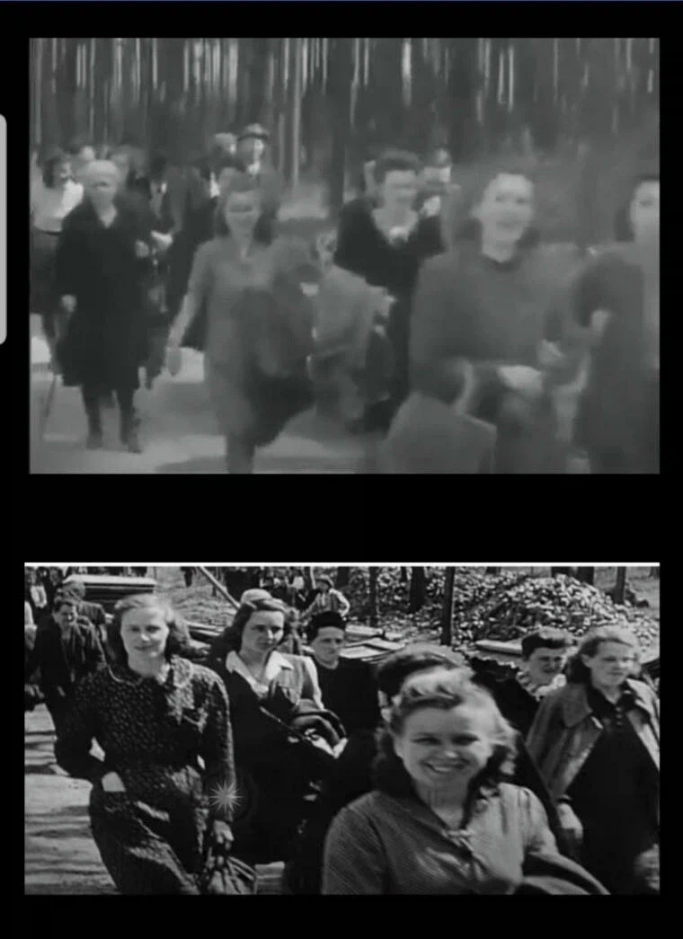 나치의 만행을 알게된 독일인들.jpg_2.webp