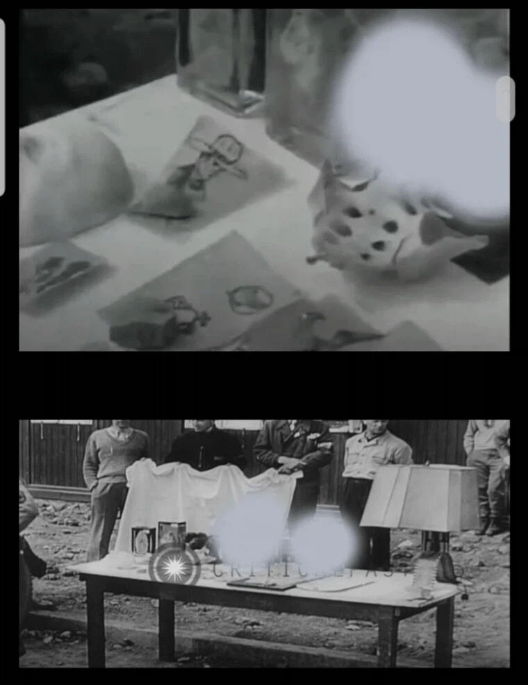 나치의 만행을 알게된 독일인들.jpg_4.webp