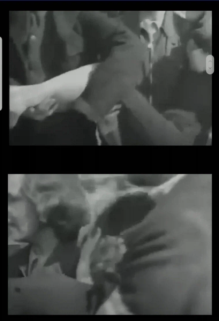 나치의 만행을 알게된 독일인들.jpg_6.webp