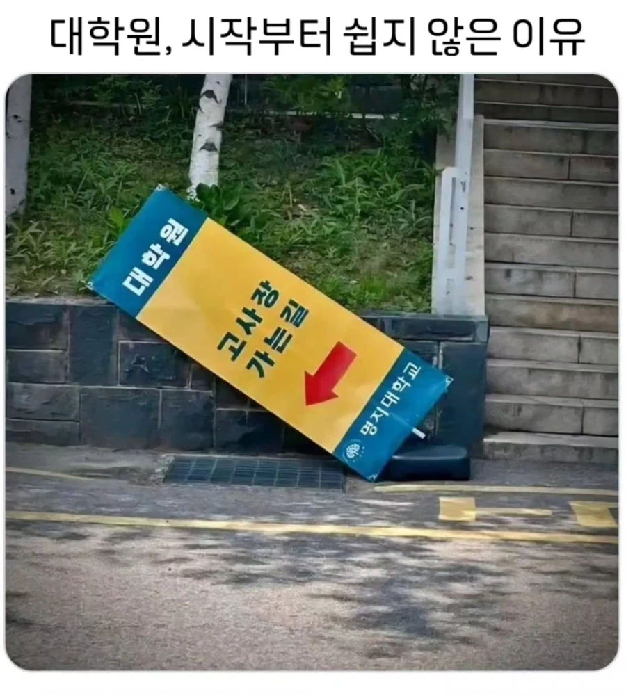 대학원.. 쉽지 않음_1.webp