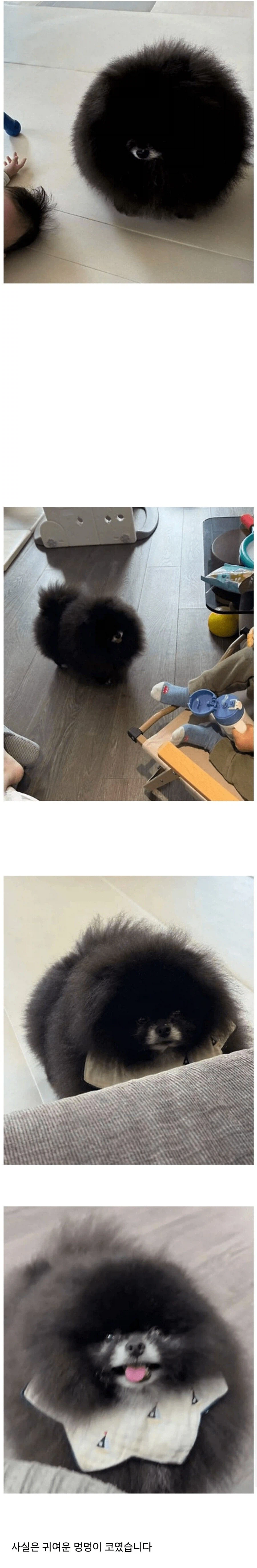 정체 불명의 외눈박이 생명체_1.webp