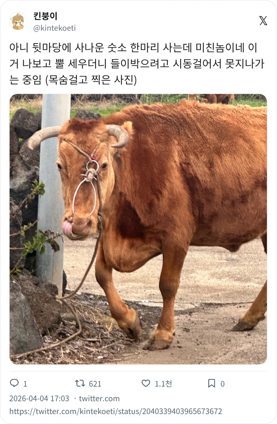 목숨걸고 찍은 사진_1.webp