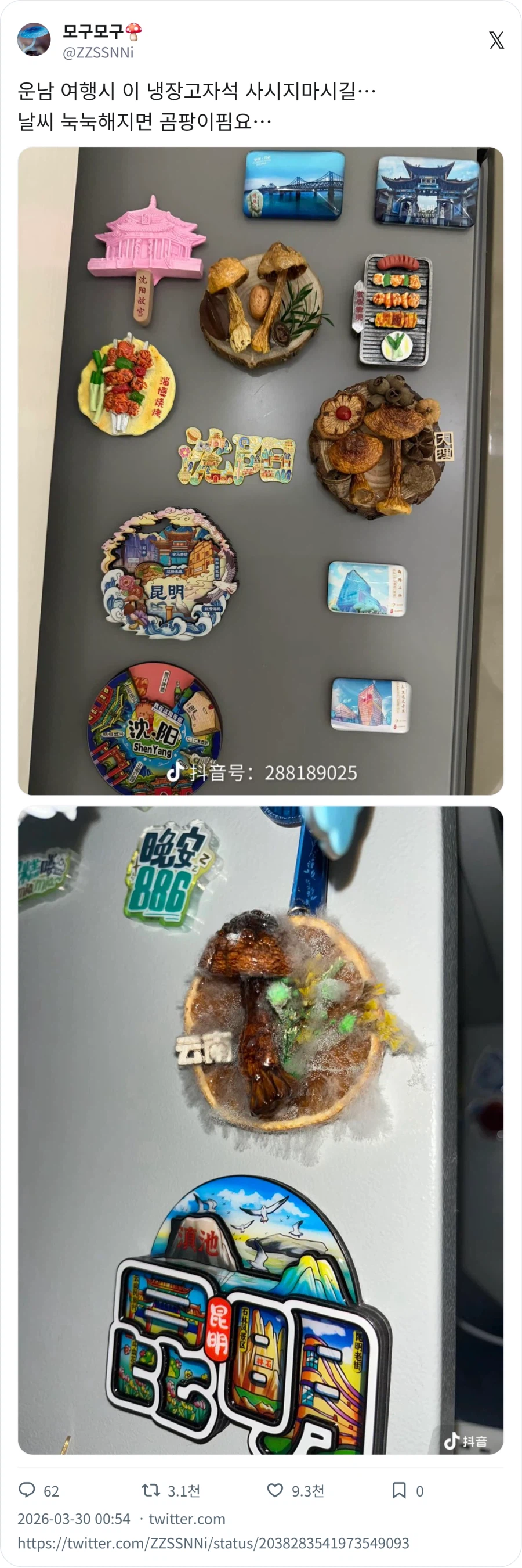 중국에서 판매하는 버섯 냉장고자석_1.webp