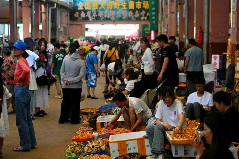 중국에서 판매하는 버섯 냉장고자석_3.webp