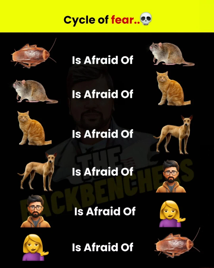 공포의 순환 싸이클._1.webp