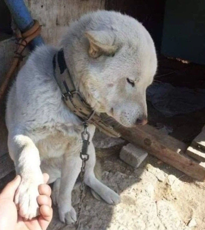 손님이라 화는 못내고 어쩔 수 없이 응대함.jpg_1.webp