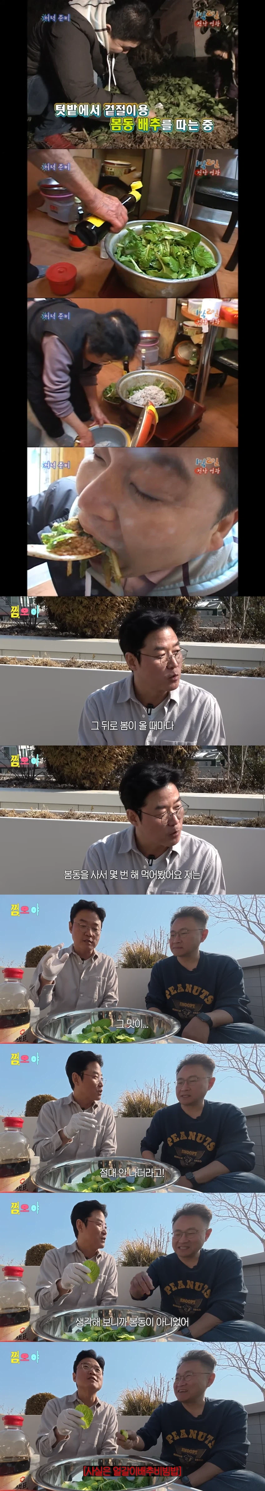 다시 해 먹어도 그 맛이 안 났던 봄동비빔밥의 비법_1.webp