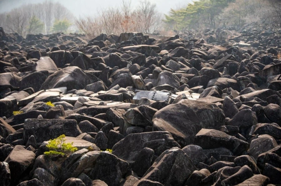 한국에서 제일 특이한 지형 중 하나.jpg_2.webp