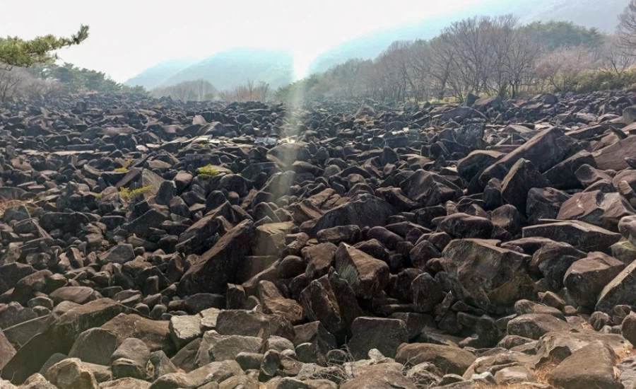 한국에서 제일 특이한 지형 중 하나.jpg_3.webp