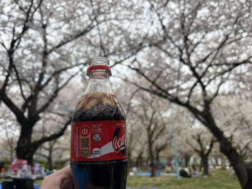 일본에서 유행중인 콜라마시기_1.webp