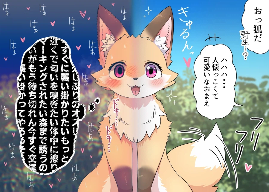 귀여운 여우 몇장_2.webp