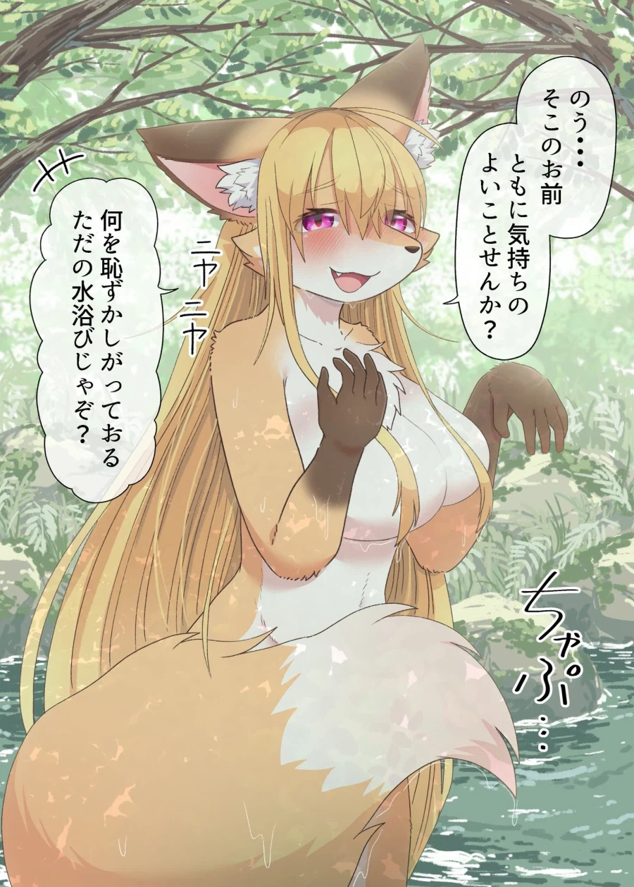 귀여운 여우 몇장_4.webp