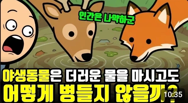 인간이 나약한 동물인 이유_1.webp