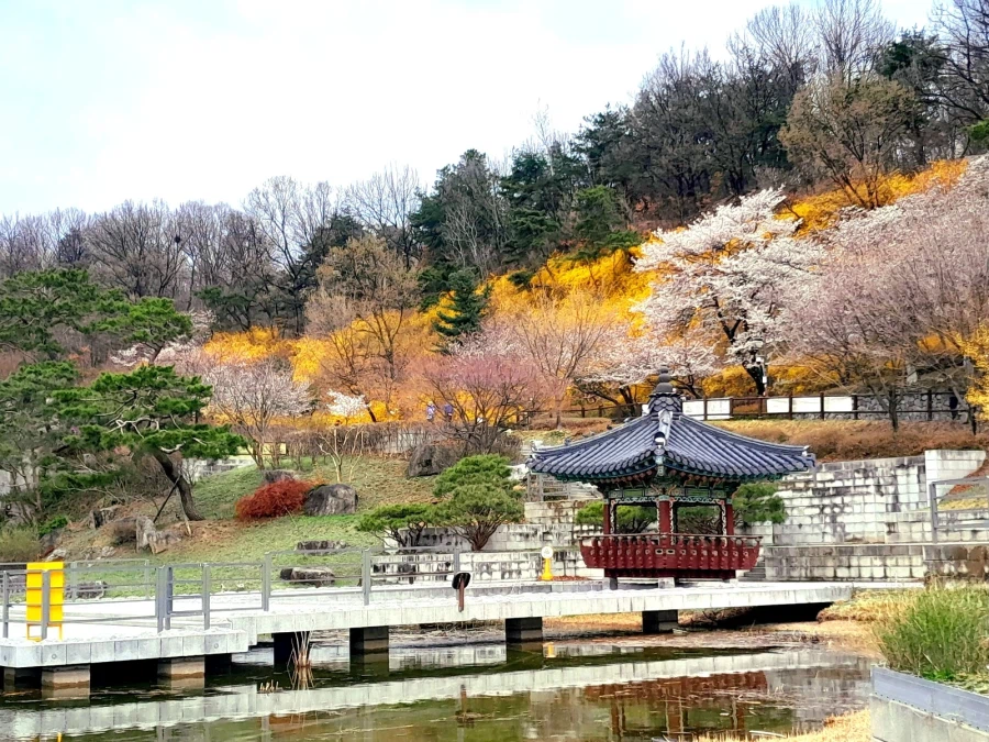 남자친구 손잡고 벚꽃보러 가볼만한곳들_1.webp